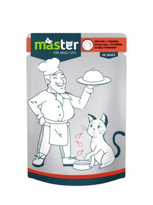 MASTER KÜMES HAYVANLI POUCH KEDI MAMASI JÖLE 80 GR X 6 ADET