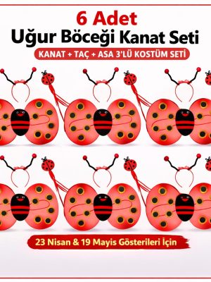 6'lı Uğur Böceği Kostüm Seti – Kanat Taç Asa