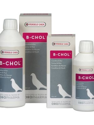 VERSELE LAGA OR.B-CHOLGÜVERCİN(K.CİĞER SAĞLIĞI KORU)500M
