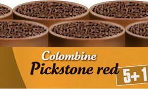 VERSELE LAGA COL.PICKSTONE RED 5 1 GÜVERCÜN MİNERAL DEST.6LI
