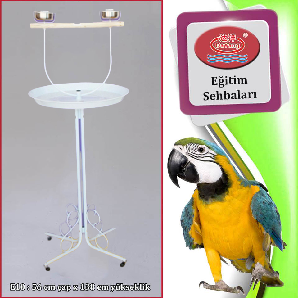 c4ad183242a40ddfacc43507df9f80d9.jpg Dayang Papağan Eğitim Sehbası 56x138cm Beyaz - Görsel 1