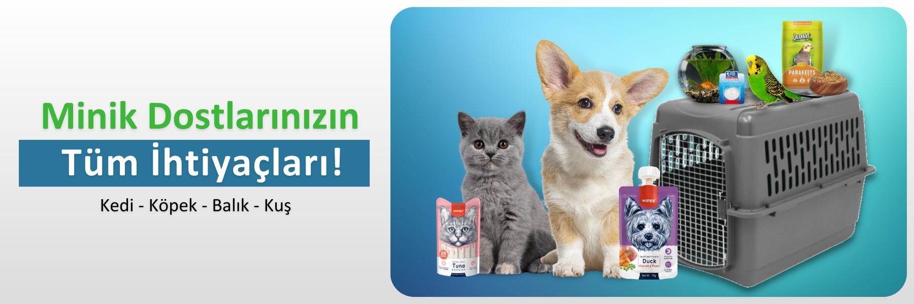 Kedi-Köpek-Balık-Kuş